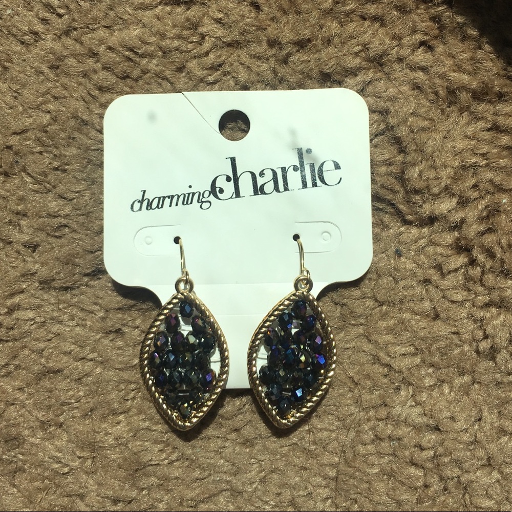 🌟2/$10🌟 Charming Charlie Beaded Earrings